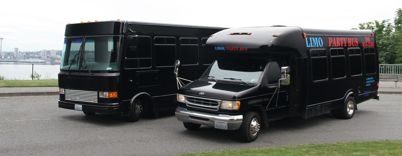 Party bus interior amenities — premium sound system and custom LED lighting in Seattle area bus